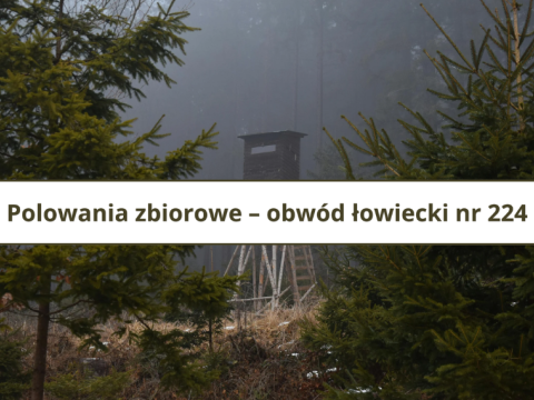 Polowania zbiorowe – obwód łowiecki nr 224